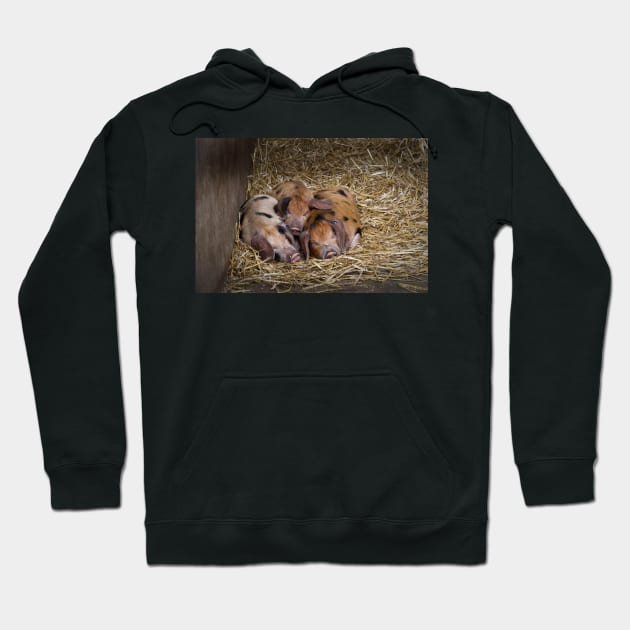 Let Sleeping Piglets Lie Hoodie by karenadams